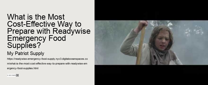 What is the Most Cost-Effective Way to Prepare with Readywise Emergency Food Supplies?